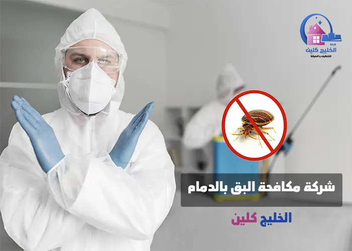 شركة مكافحة البق بالدمام