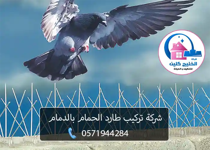 شركة تركيب طارد الحمام بالدمام