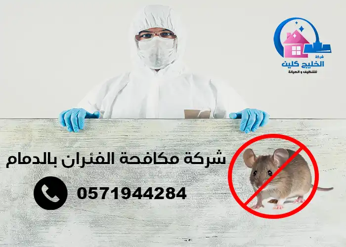 شركة مكافحة الفئران بالدمام