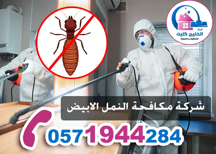 شركة مكافحة النمل الابيض بالدمام