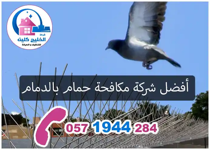 شركة مكافحة الحمام بالدمام