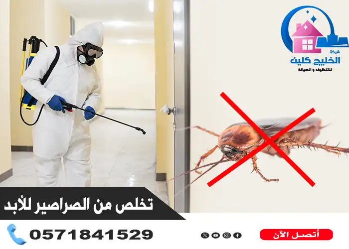 شركة مكافحة الصراصير بالدمام