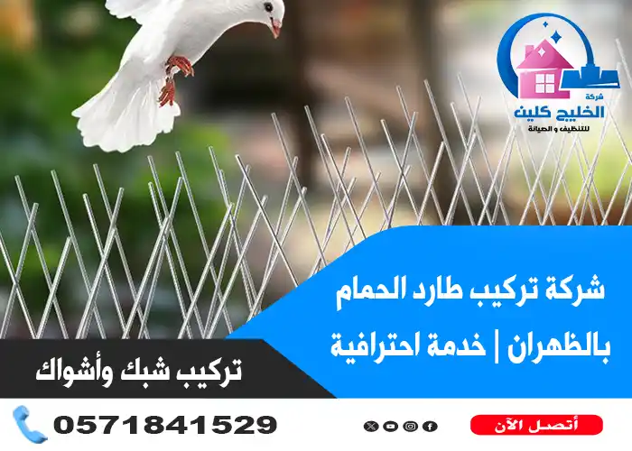 تركيب طارد الحمام بالظهران