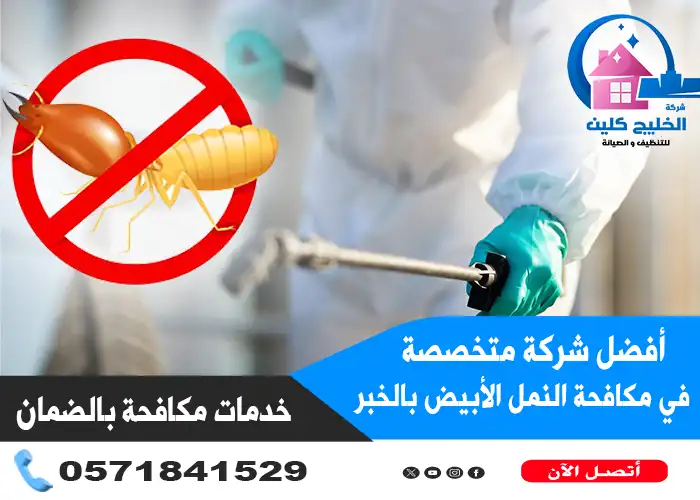 شركة مكافحة النمل الابيض بالخبر بالضمان