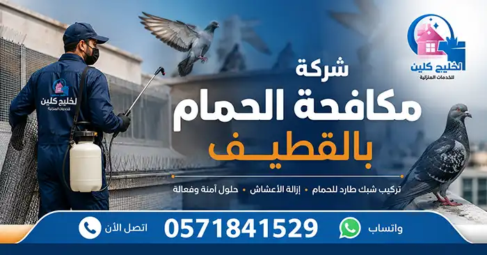 شركة مكافحة الحمام بالقطيف | شبك وأشواك
