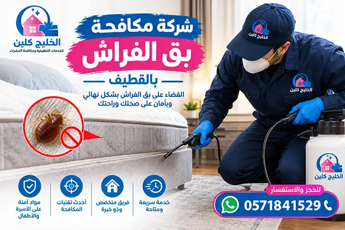 شركة مكافحة بق الفراش بالقطيف